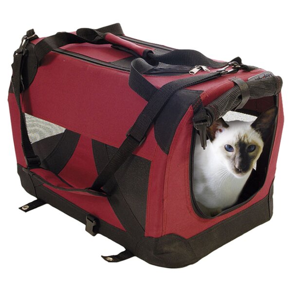 cat carrier on chest